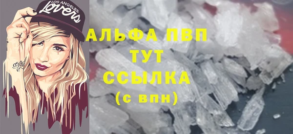 прущие грибы Белоозёрский