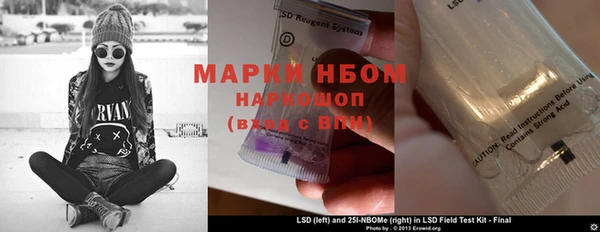 прущие грибы Белоозёрский
