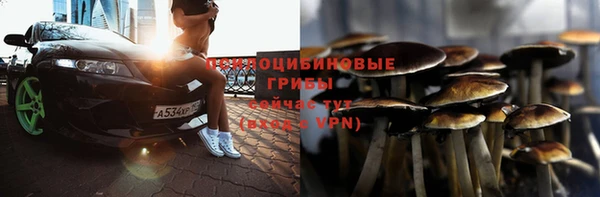 прущие грибы Белоозёрский