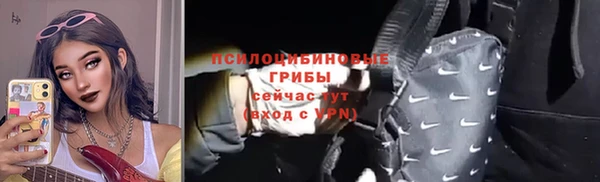 прущие грибы Белоозёрский