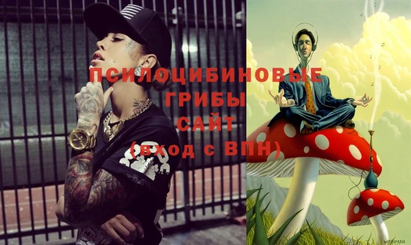 наркотики Белокуриха