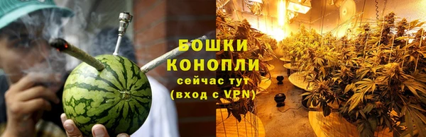 прущие грибы Белоозёрский
