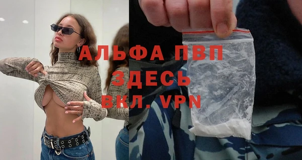 прущие грибы Белоозёрский