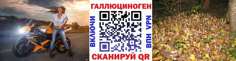 Галлюциногенные грибы мицелий  omg сайт  Высоковск  купить наркотик 